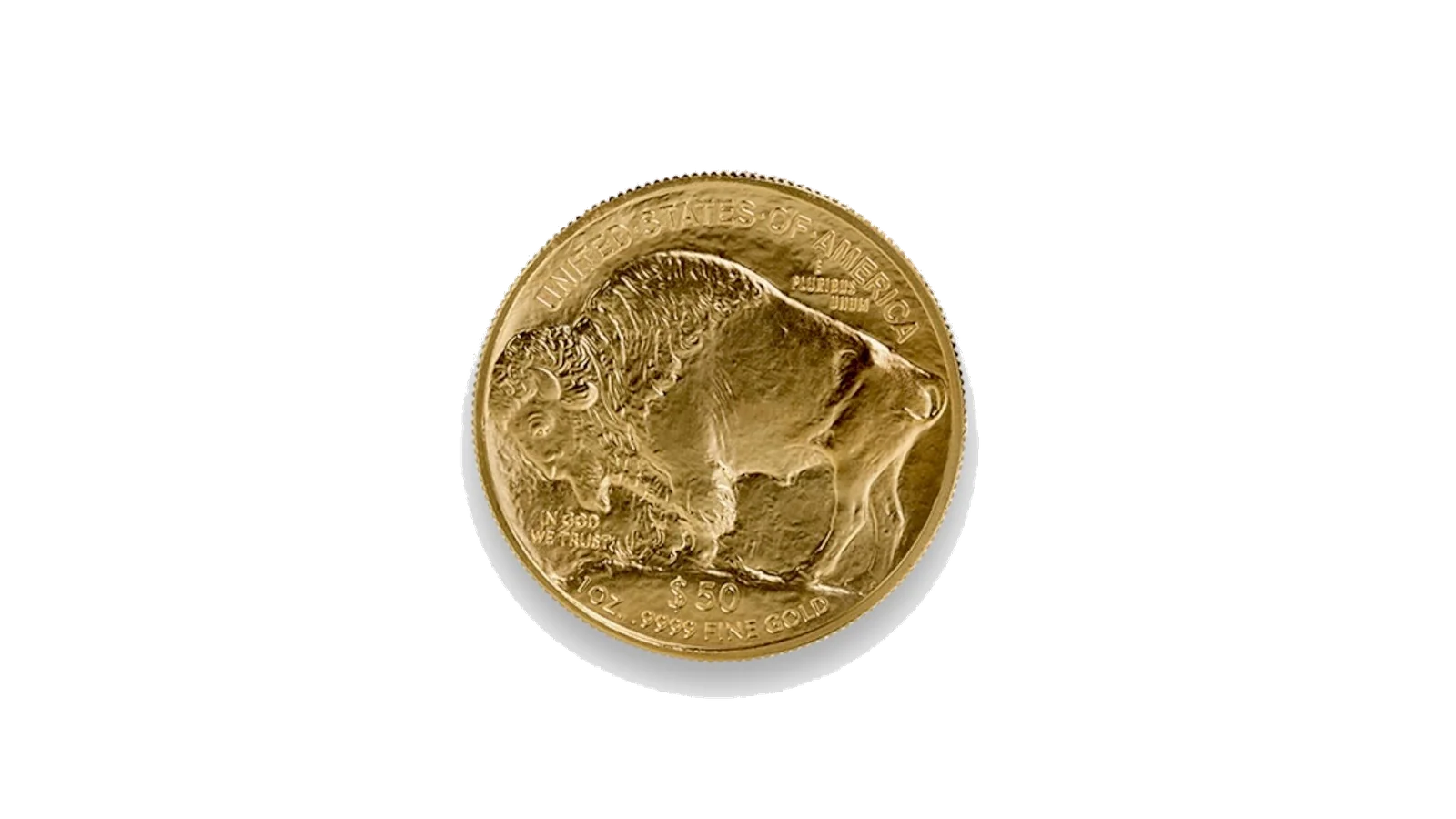 The Golden American Buffalo Side