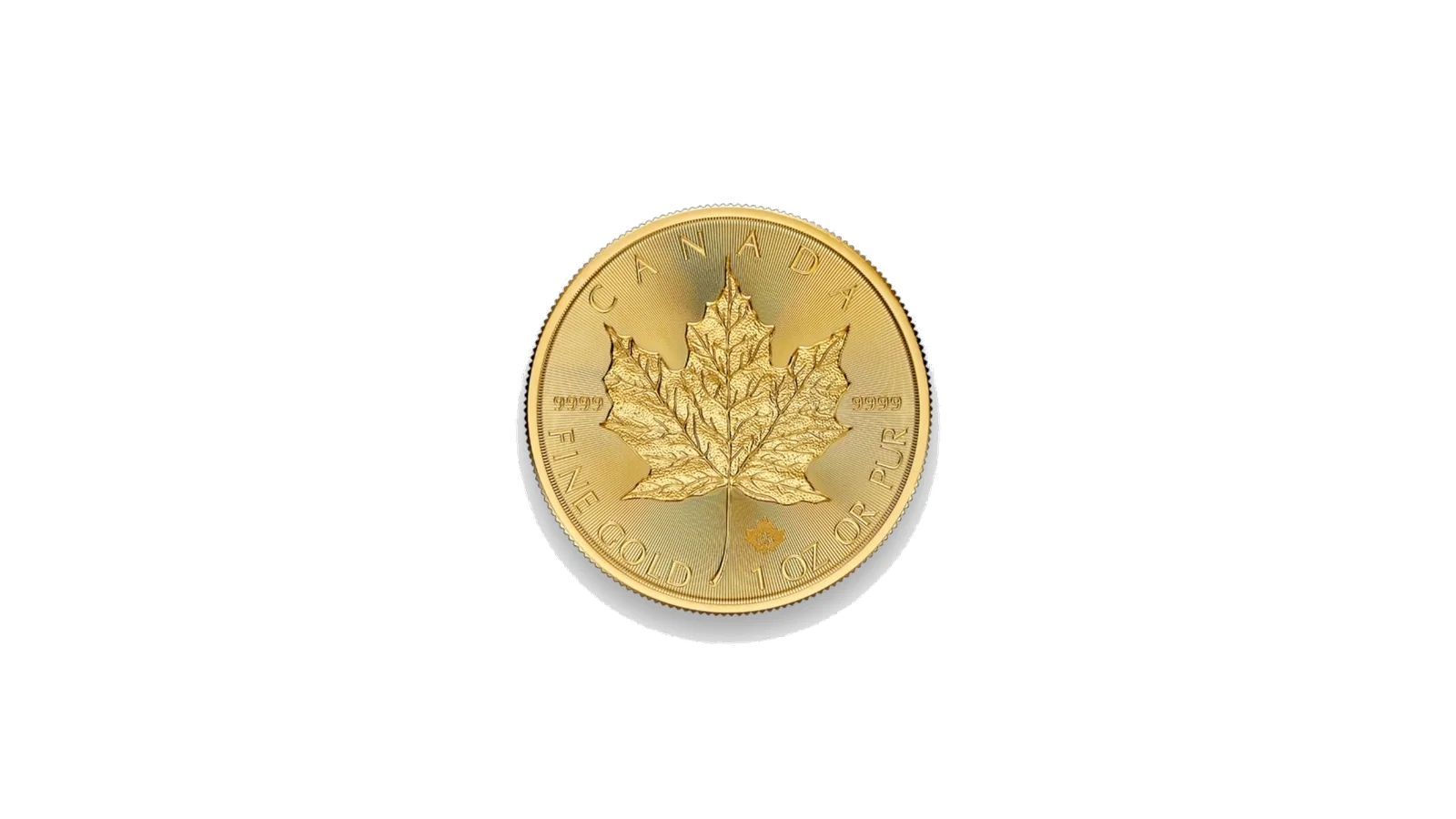 Golden Maple Leaf